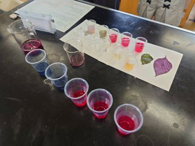 R6_化学実験教室 (2)